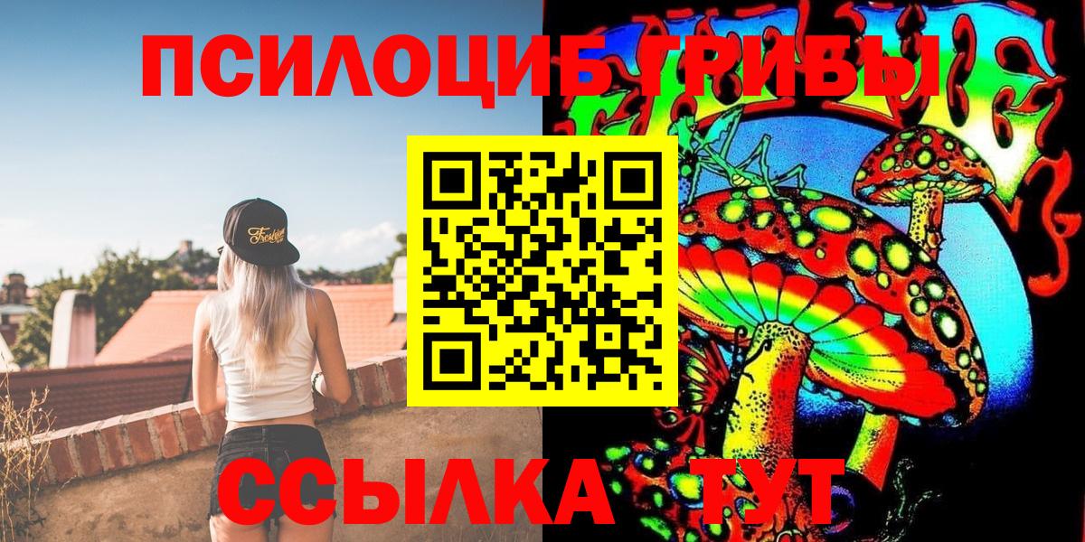 Псилоцибиновые грибы ЛСД  Псилоцибиновые грибы Psilocybine cubensis  Муром  где купить наркотик  Вход с VPN 