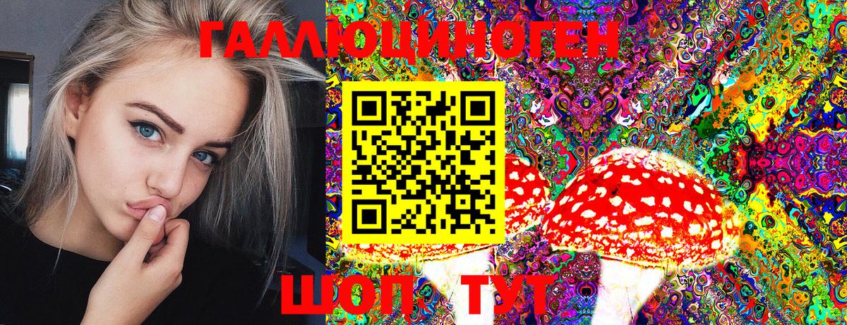 Псилоцибиновые грибы прущие грибы Муром
